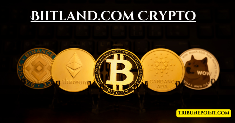 Biitland.com Crypto: Revolutionizing the Way You Trade Digital Assets