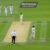 Ali Usman Makes History with Five-Wicket Haul at Headingley